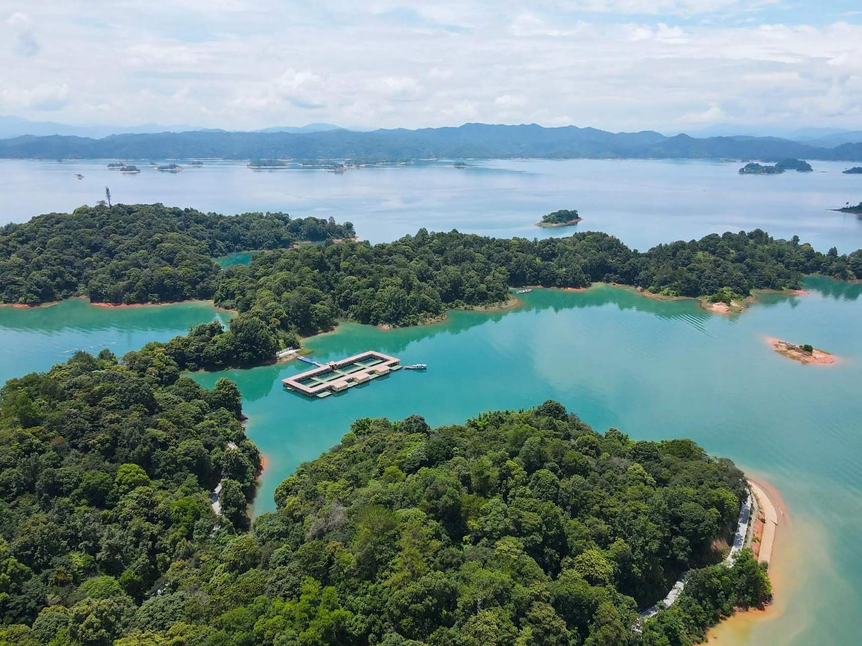 万绿湖中最大的岛屿——龙凤岛  它位于湖心,东部像龙,西部似凤 整个