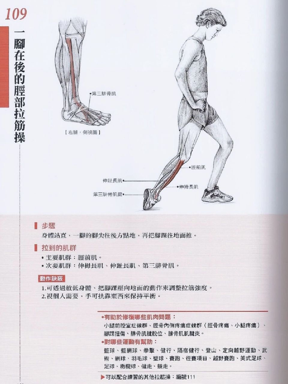 小腿前側(精準拉伸) 1. 大腳趾疼痛. 2. 腳步拖拉抬不離地. 3.