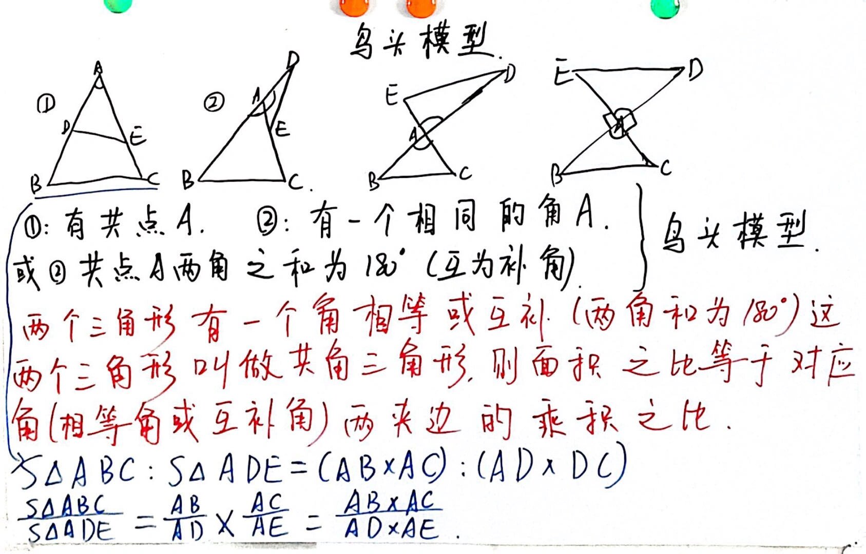 五大模型之鸟头模型详细笔记,这篇笔记,帮你搞定鸟头模型