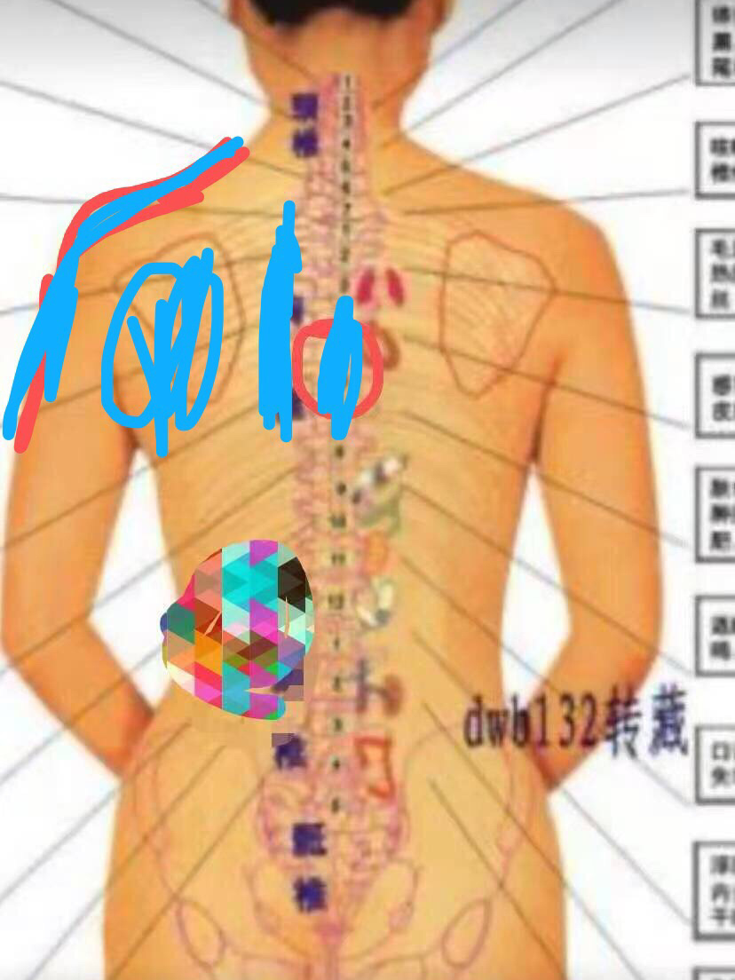 反流性食管炎 有没有后背中间偏左 左肩胛骨也痛的 胸口中间串着后背