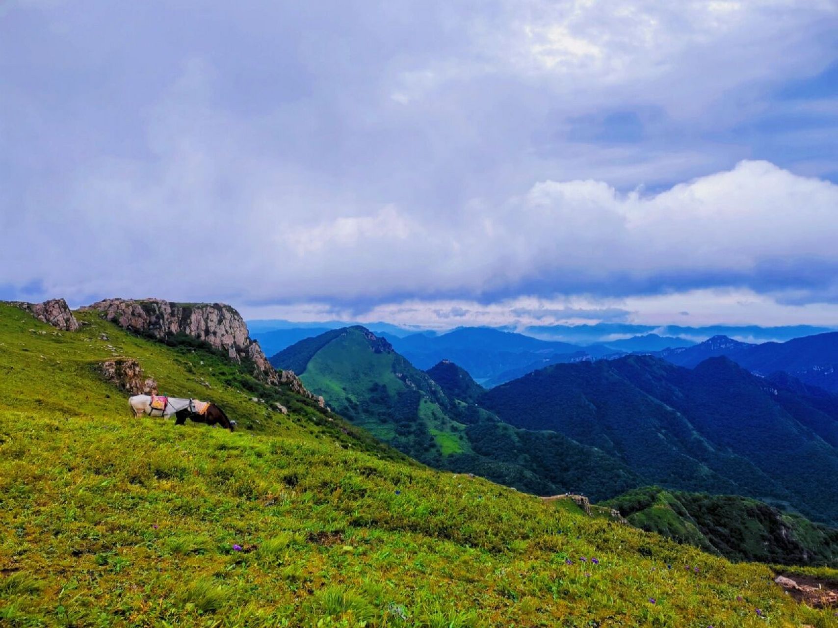 河北涞源空中草原徒步 趁着周末两天从天津出发去河北了 从河北涞源