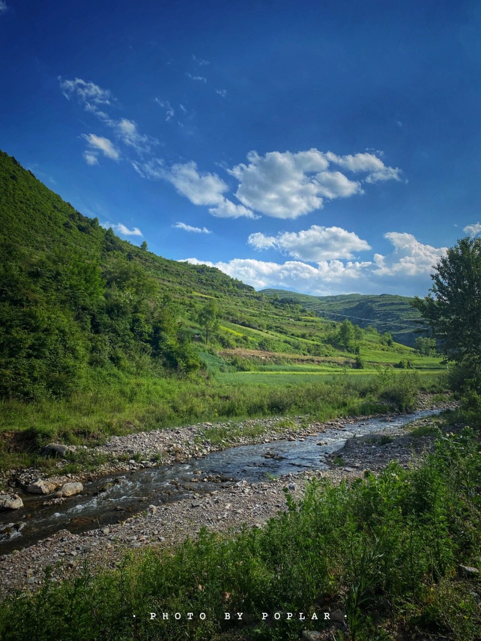 旅行 | 武山初夏 位于甘肃省天水市武山县的龙台镇,是一个风景秀美的
