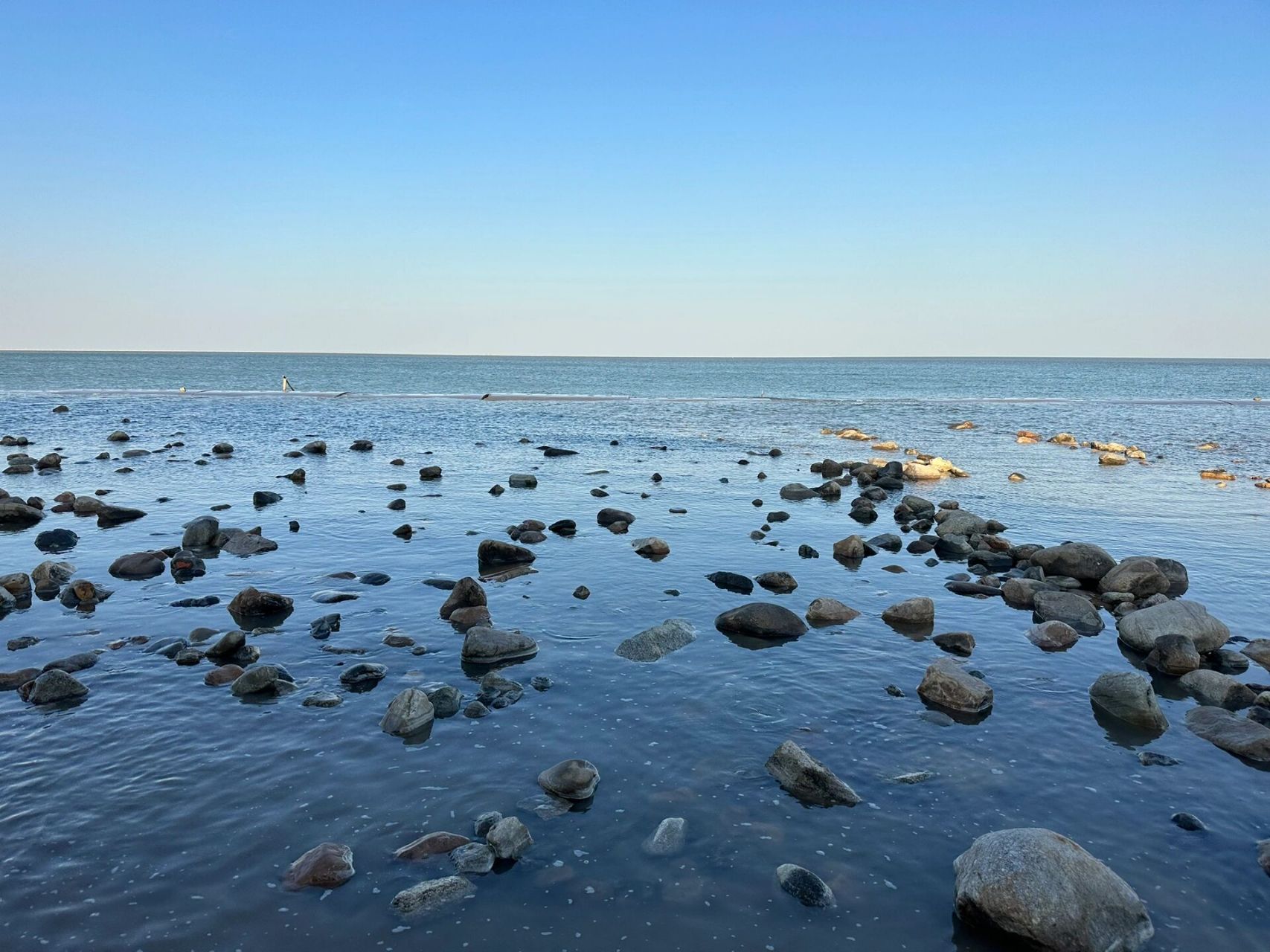 沧州赶海78约姐妹93海边拍91太出片啦75157515 最美