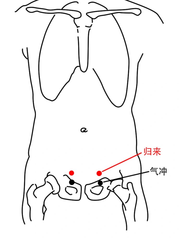 归来的准确位置图作用图片