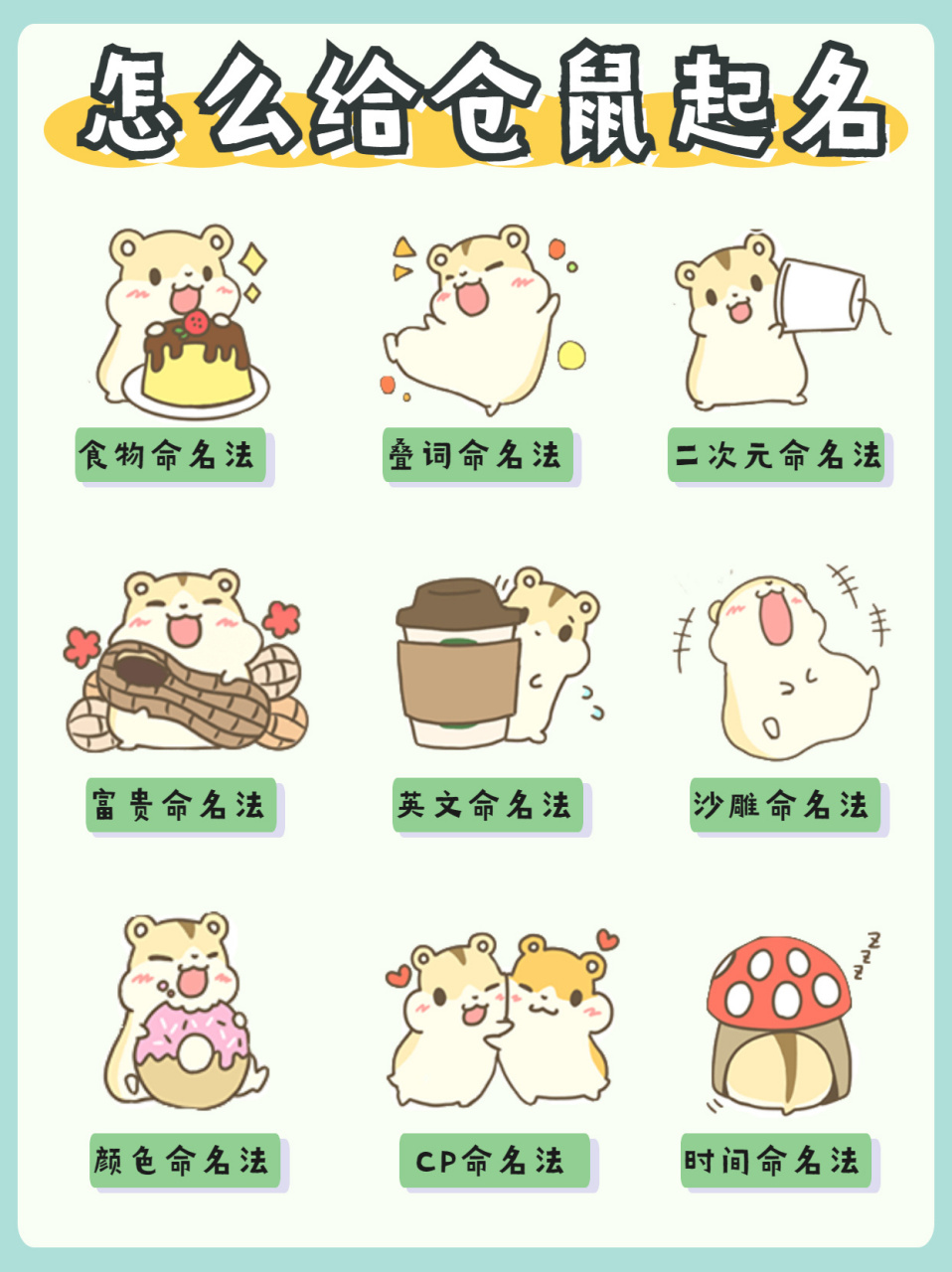 仓鼠名字起的好91随叫随到的鼠子你也能拥有 你家鼠鼠叫什么呢