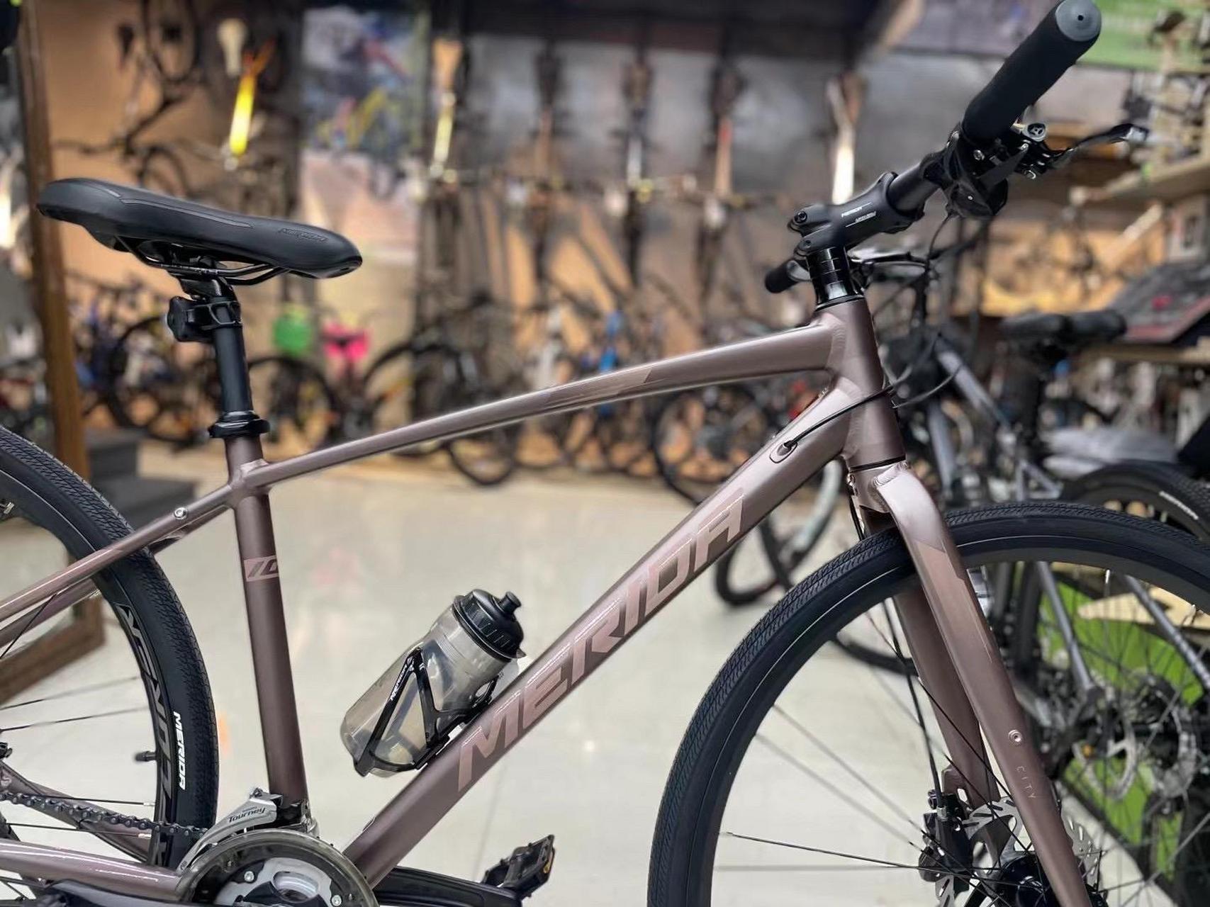 美利达平把公路自行车——探索者100.