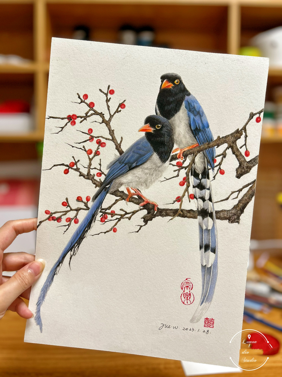 彩铅《红嘴蓝鹊》神话传说中的"青鸟" 彩铅【红嘴蓝鹊】神话传说中的"