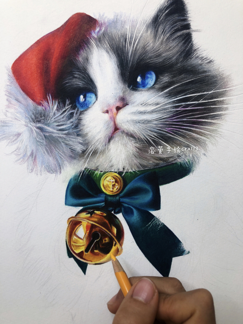 彩铅手绘《布偶猫》～含步骤 尺寸:23×32cm 星河滚烫 你是人间理想