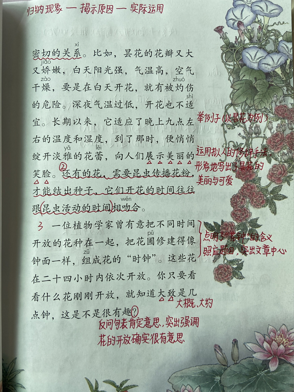 三年级语文下册 第13课 《花钟》