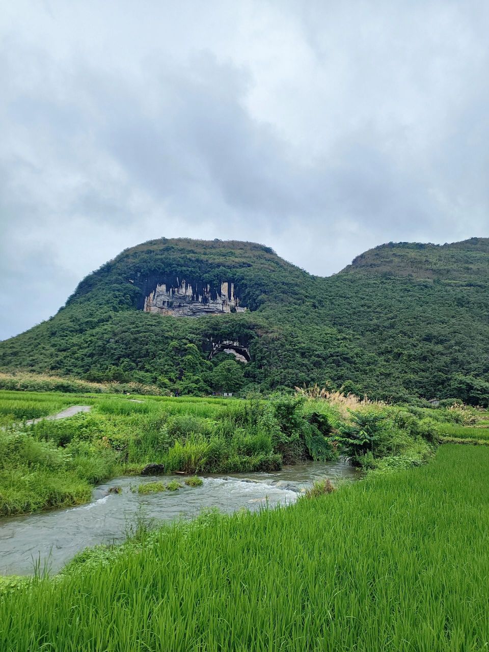 永州道县:周敦颐故居-月岩 他爱莲,后世的人们在附近种满了莲花.
