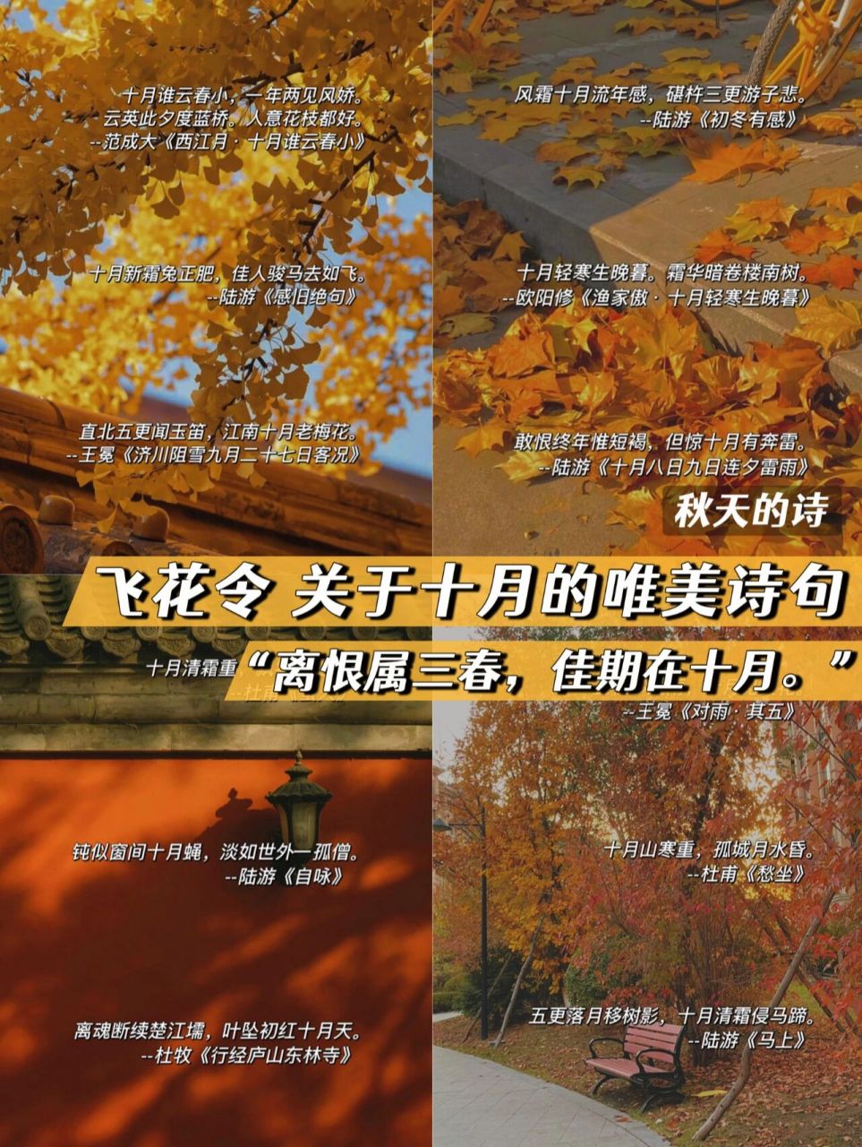 飞花令93秋天文案关于十月的唯美诗句浪漫 看古人怎么将十月写进诗