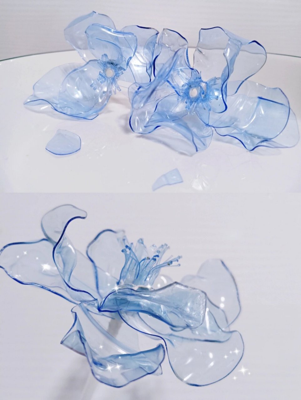 塑料瓶diy——脉动花94 脉动瓶子做的永生花 很简单 成品超级好看呦