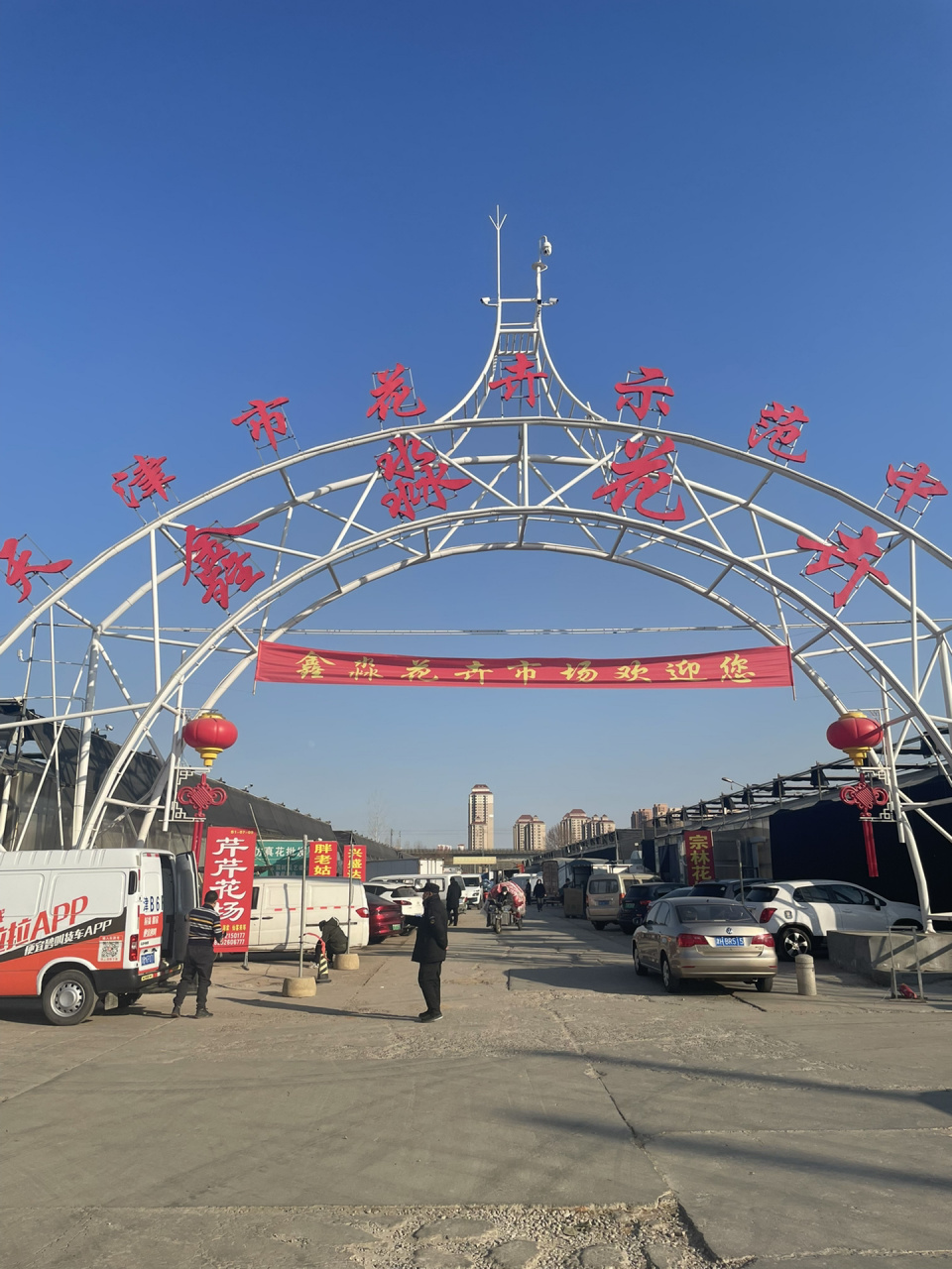 只有花店老板才会告诉你的天津最全花卉市场 每年这个季节每家每户都