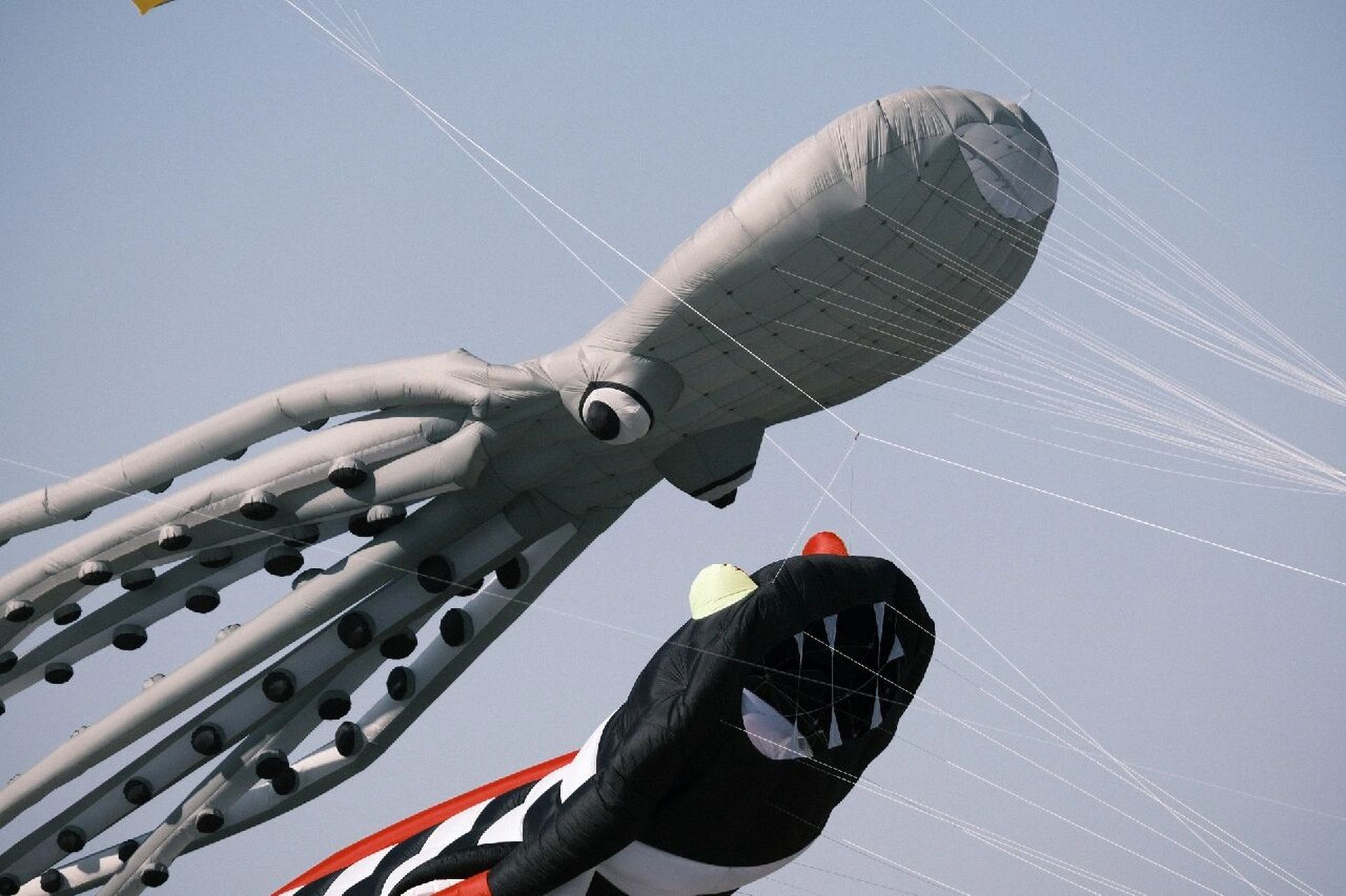 汕头东海岸·巨型风筝·满天的海鲜  	 过年的时候去汕头 特地跑去