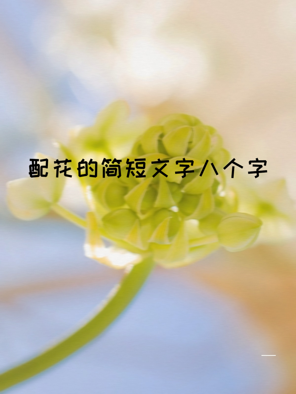 配花的简短文字八个字 94 在这忙碌而喧嚣的世界里,一束精心挑选的