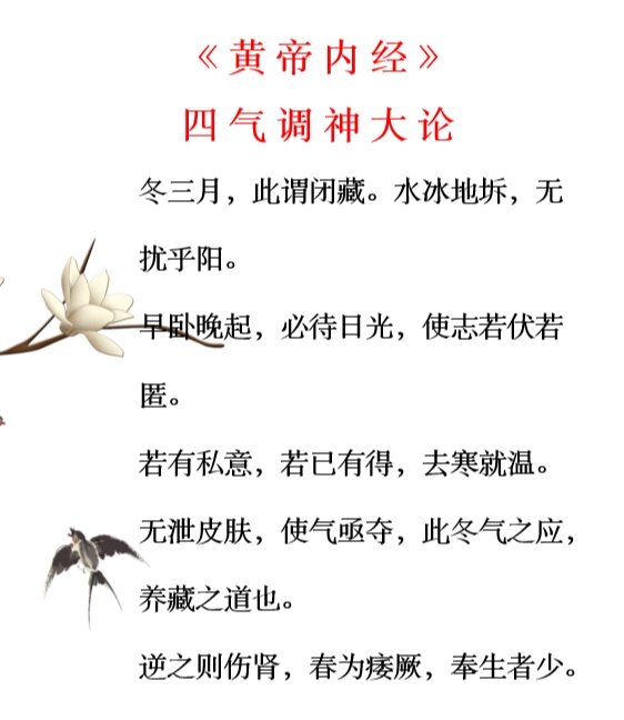 《黄帝内经》教你四季养生法——冬季!