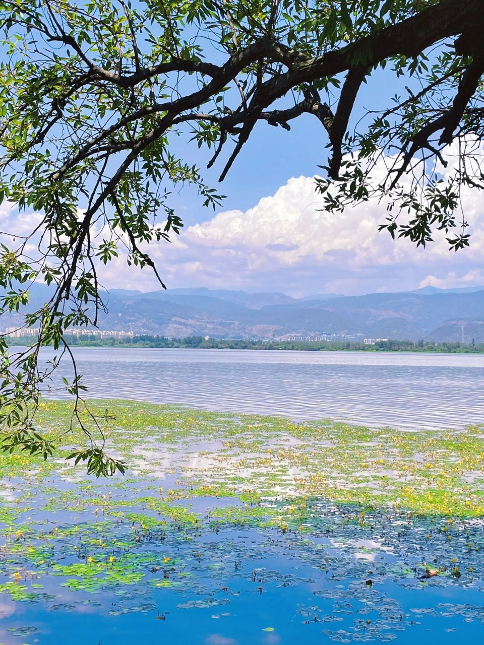 边,坠入宫崎骏的夏天☁️      海风浪漫 日光温柔 一路皆是风景