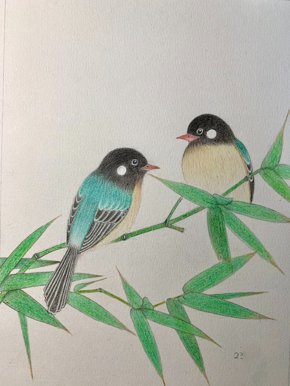 彩铅画花鸟 画错了,哈哈… 彩铅笔:辉柏嘉(红盒)水溶性72色 421 487