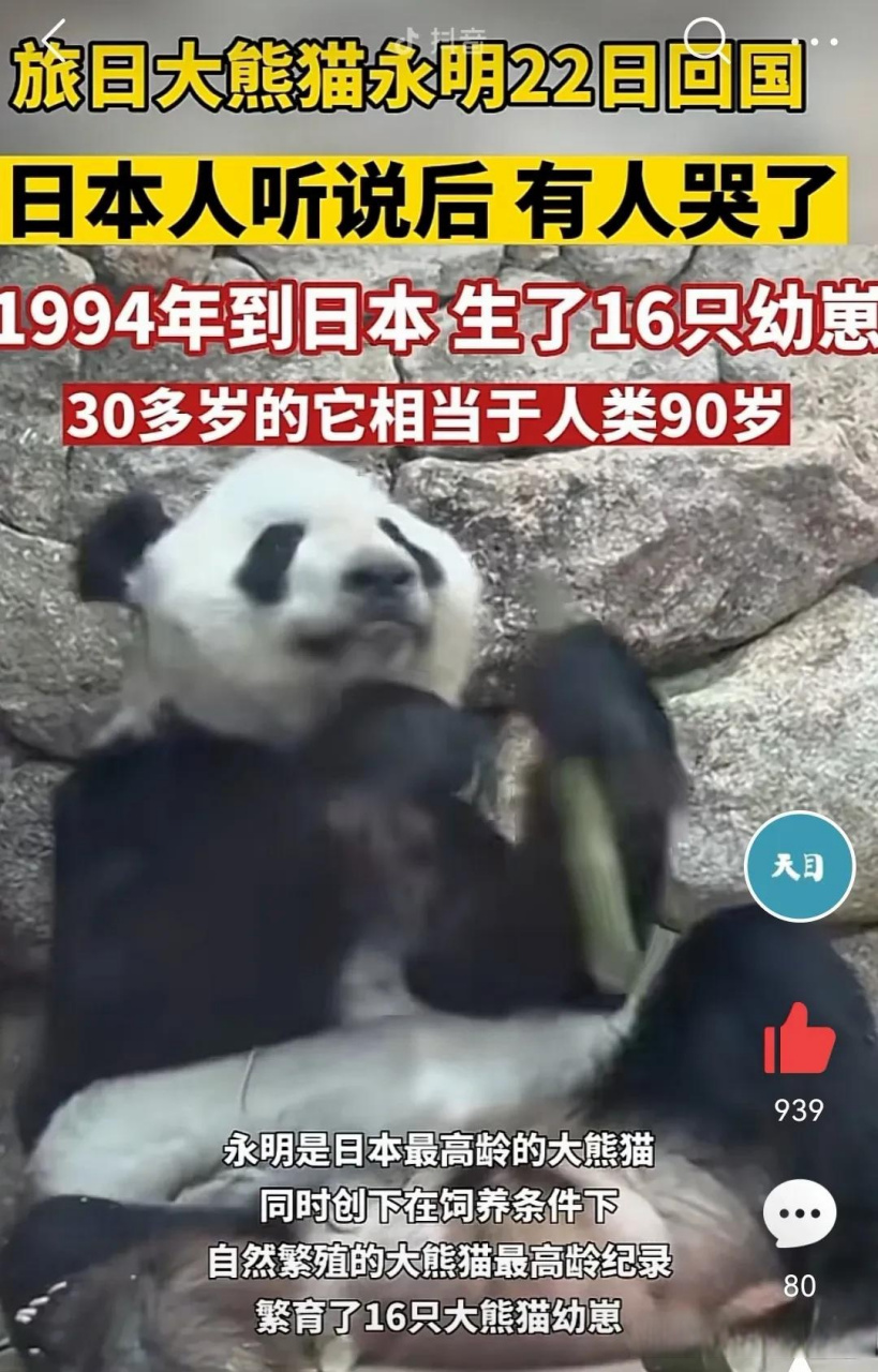 【连国宝大熊猫也逃不过的"魔咒",论工作单位的重要性】同样是国宝