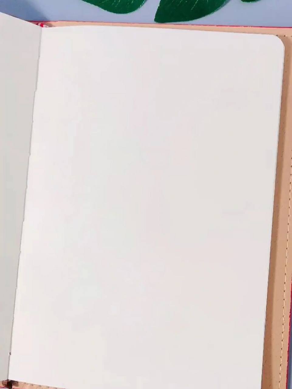 书单空白素材 突然好想失去了什么 又好像从来都没拥有过.