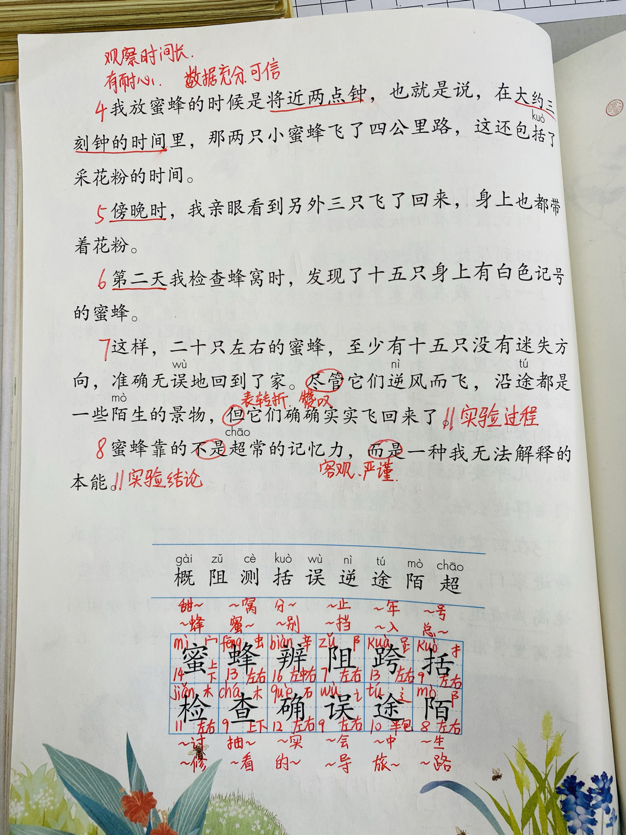 小学语文部编版三年级下册第四单元《蜜蜂