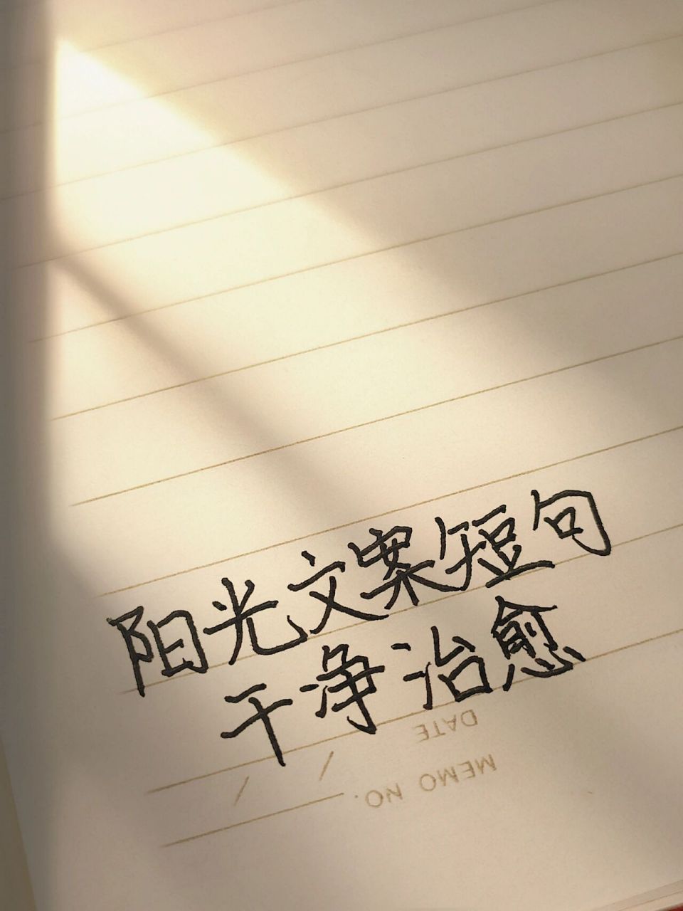 阳光文案短句干净治愈 不知道会遇见什么,只知道阳光这么好98