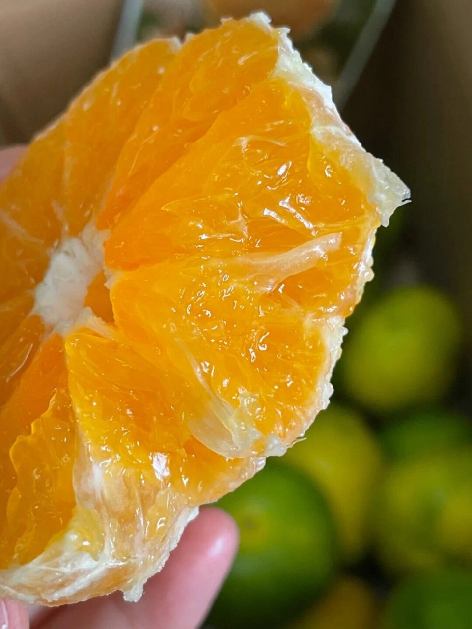 76 |外观8215821582158215 华宁无籽蜜桔果皮绿