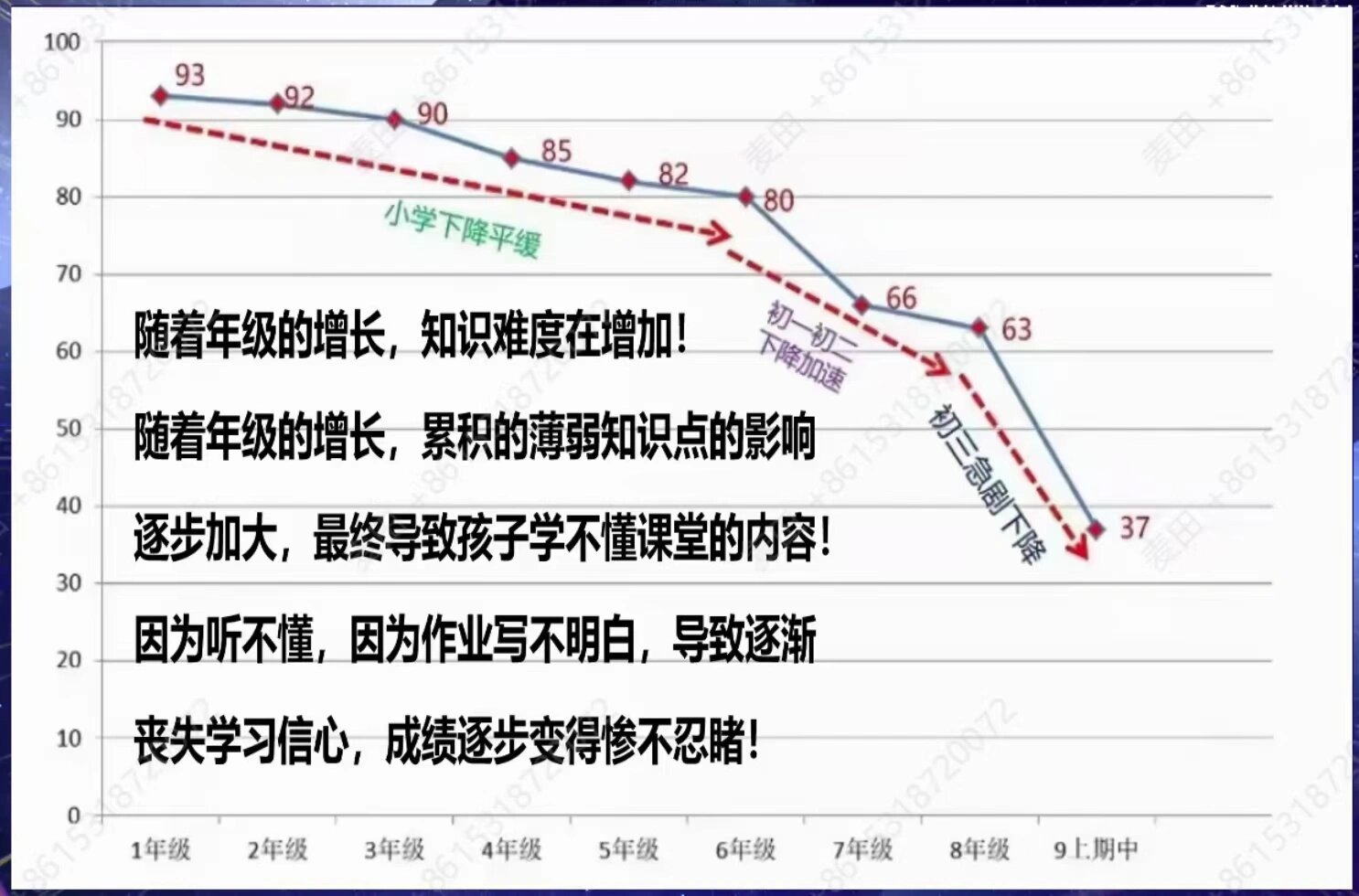 松鼠ai一对一价目表图片