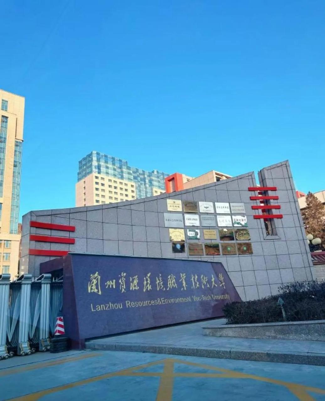 通过中文工坊,培黎工坊,职业技术培训中心等海外机构和平台,推动国际