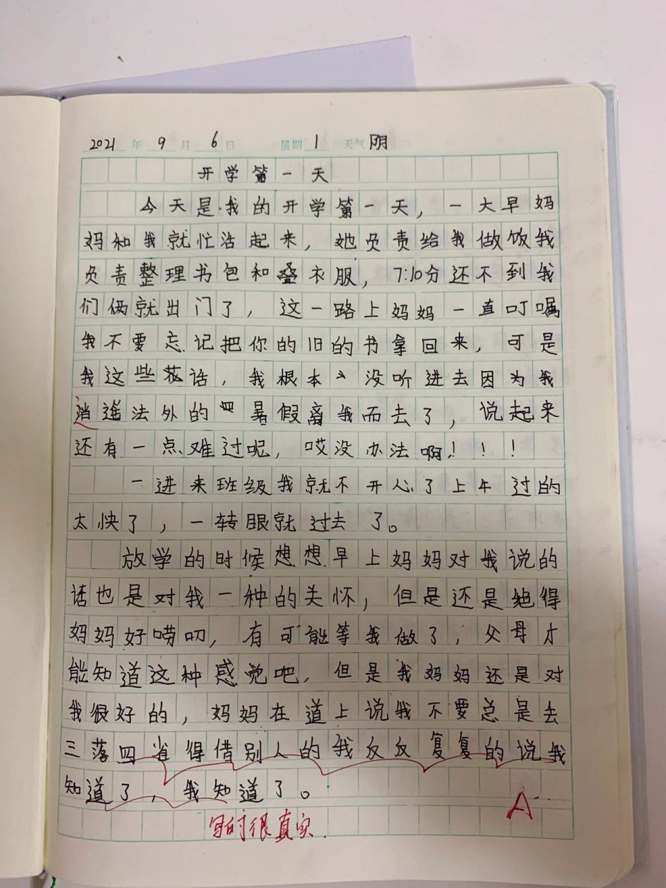 五年级作文300字