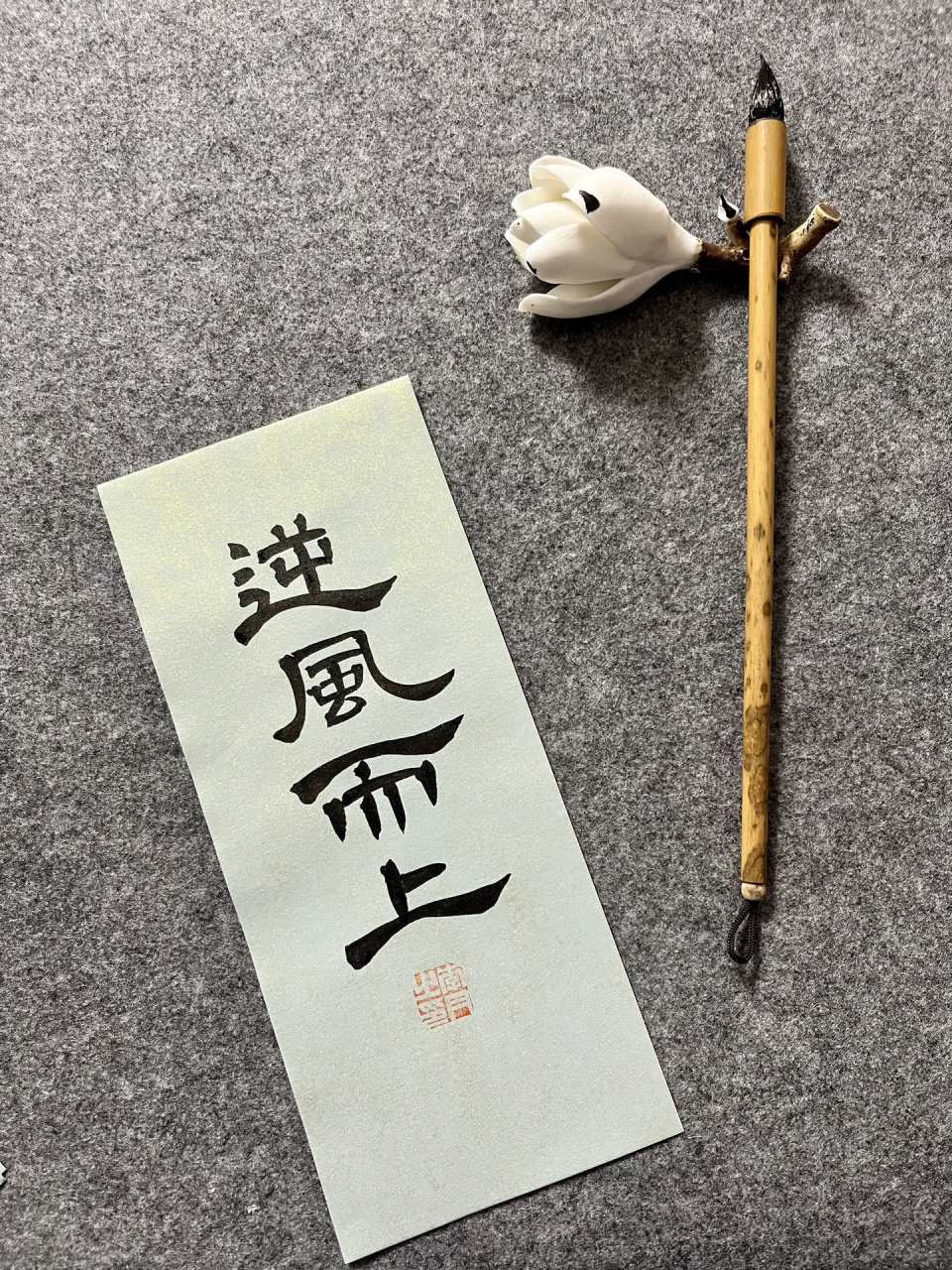 而上 逆风而上 希望你们都有乘风而上的机遇,也有不畏逆风而上的勇气!