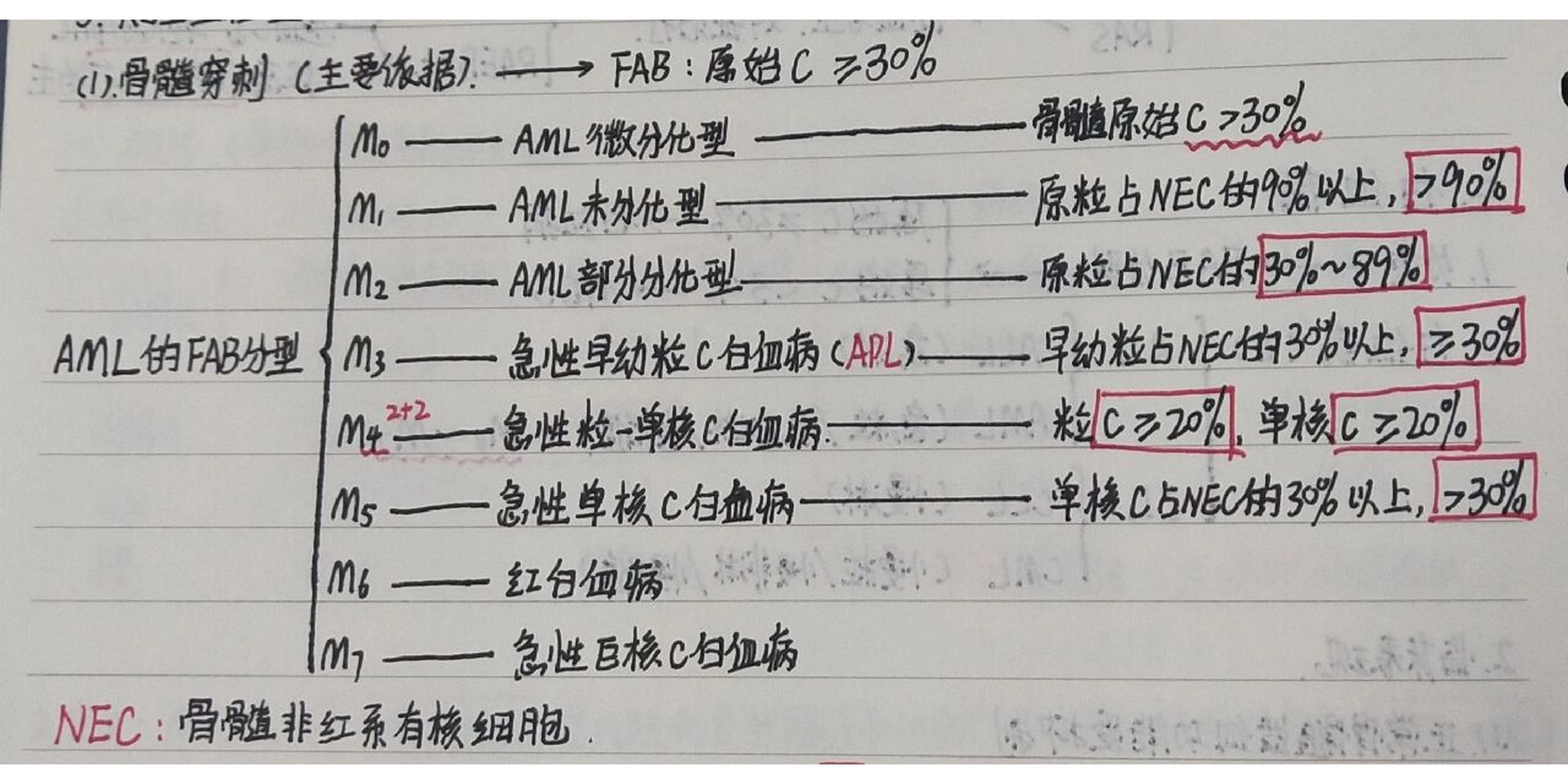 白血病 细胞分化图片