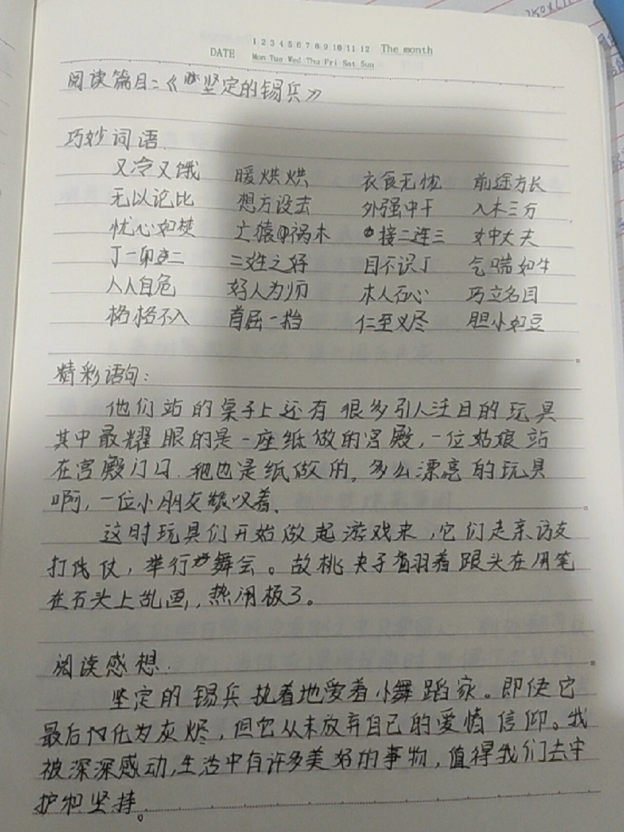 坚定的锡兵读书笔记图片