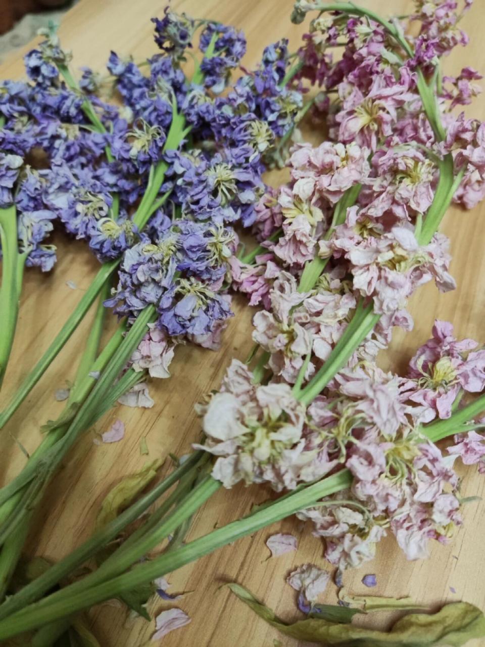 紫罗兰干花 谁懂我的惊喜啊,过年回家前还是鲜花,回来发现它自己就