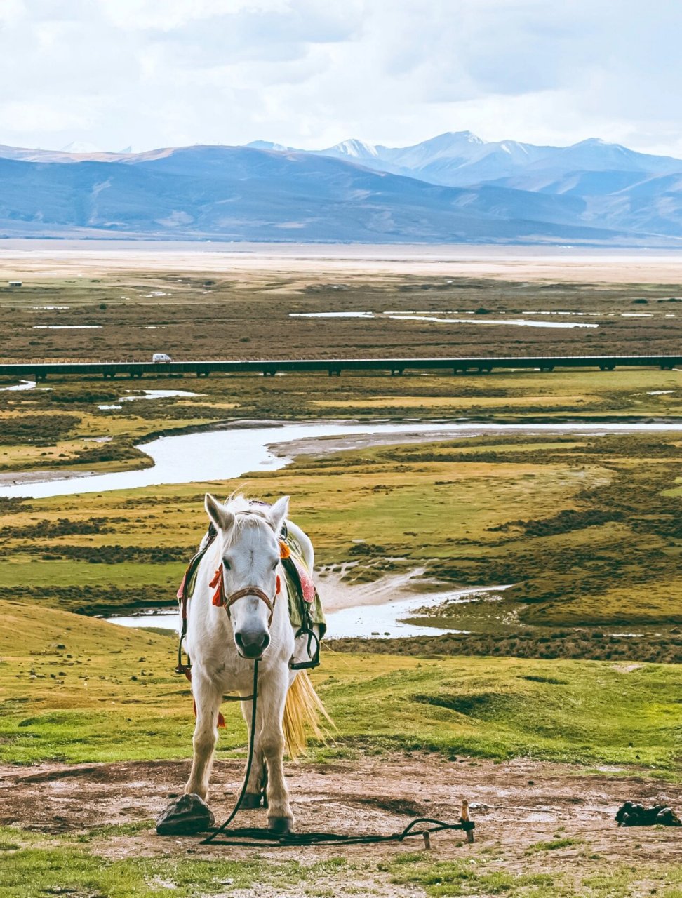 海拔4000米的草原~毛垭坝草原~ 9994949494949393