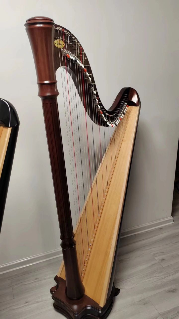 二手爱青竖琴转让 有一台羊肠弦琴在呼和浩特的二手爱青40弦 大学生