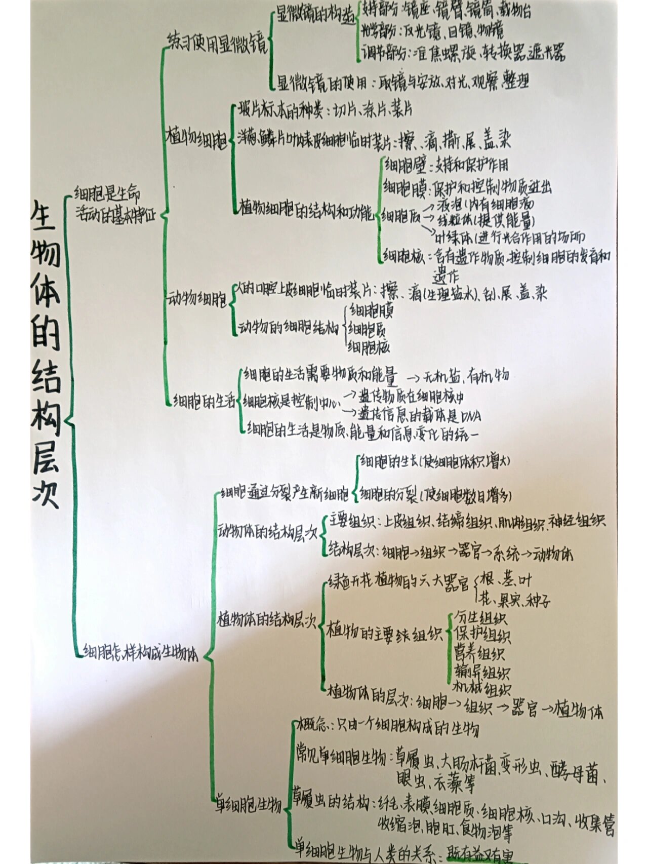 初中第二单元生物思维导图