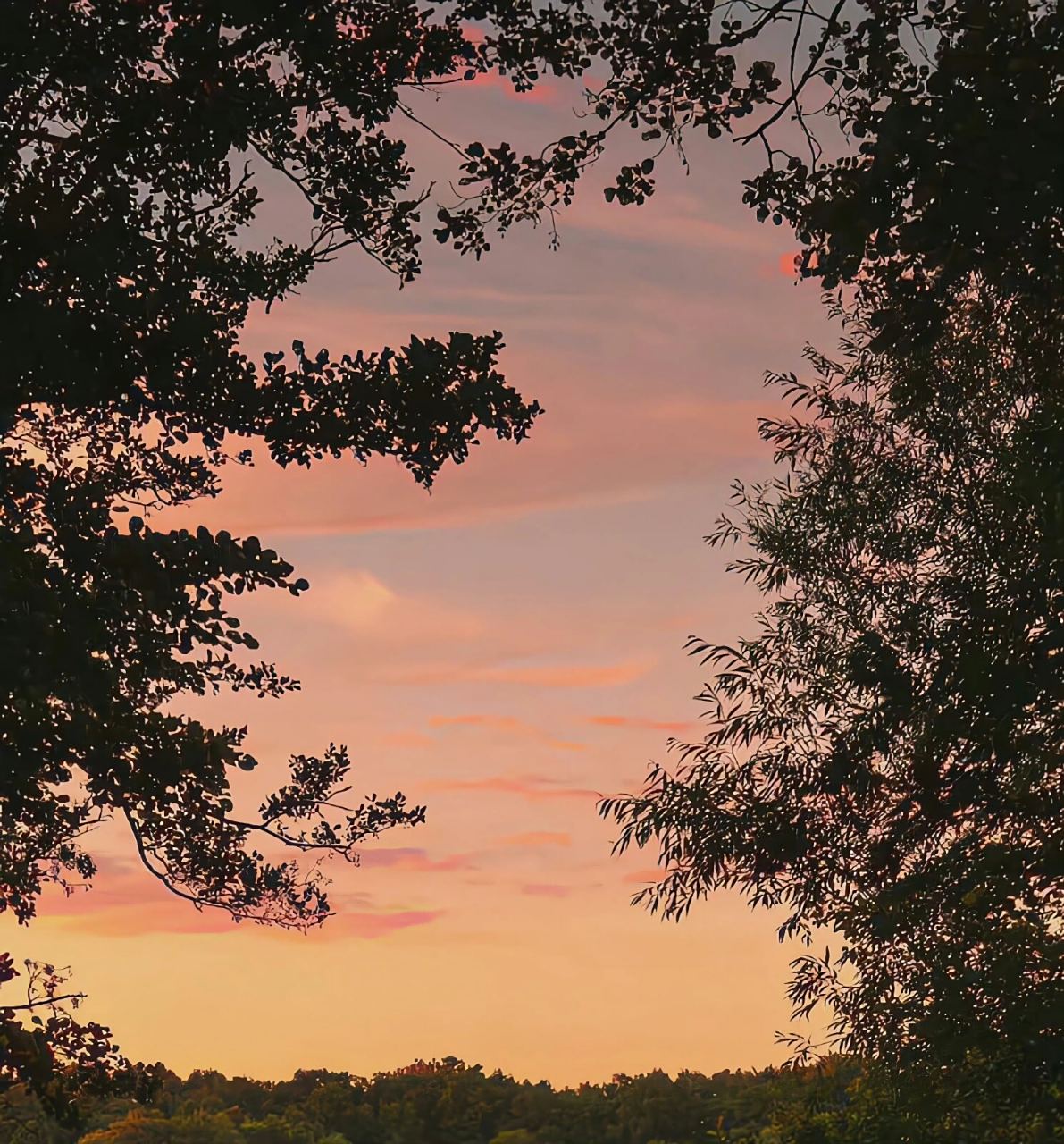 超美夕阳图朋友圈背景图壁纸