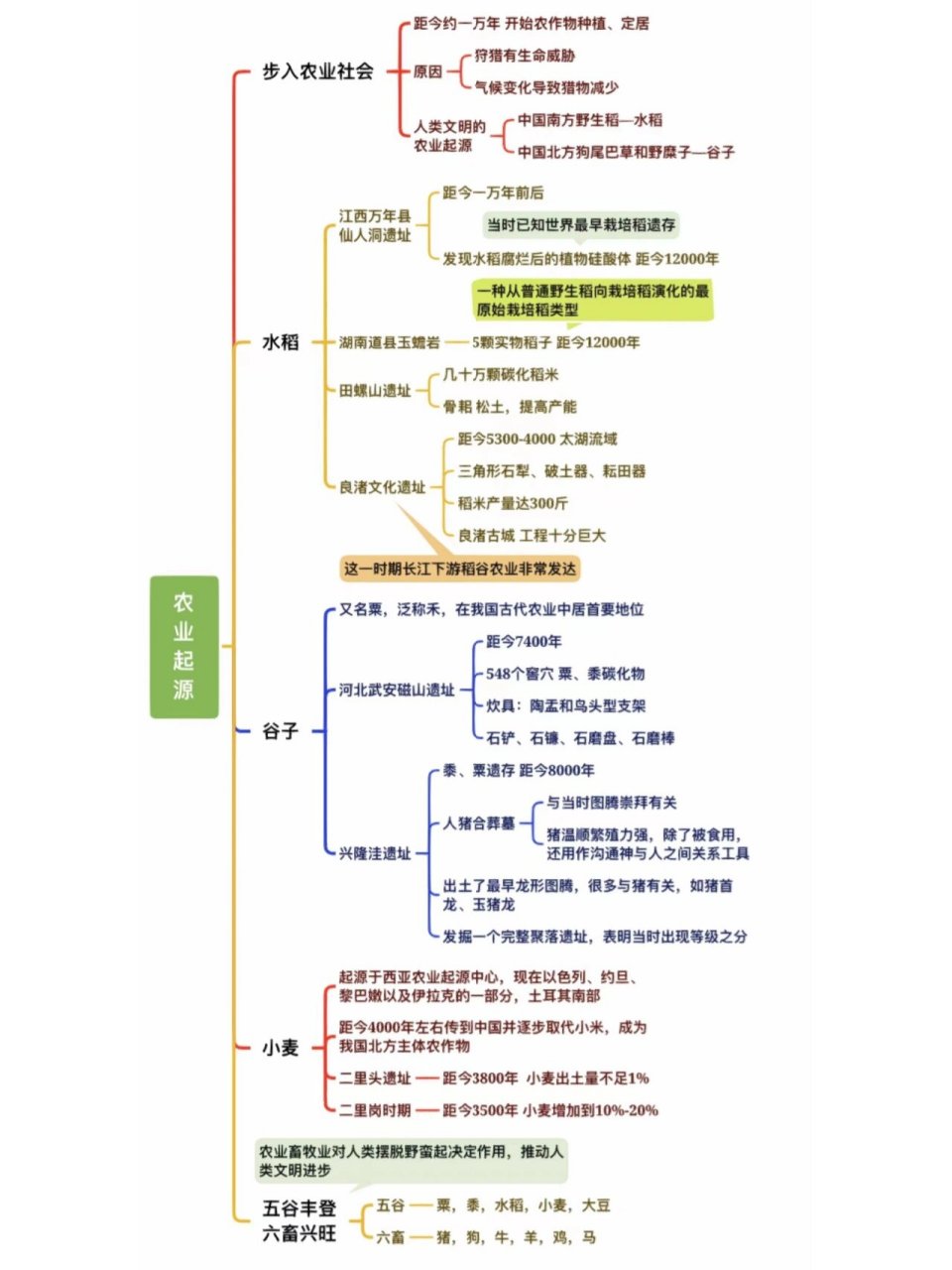 基地思维导图作品图片