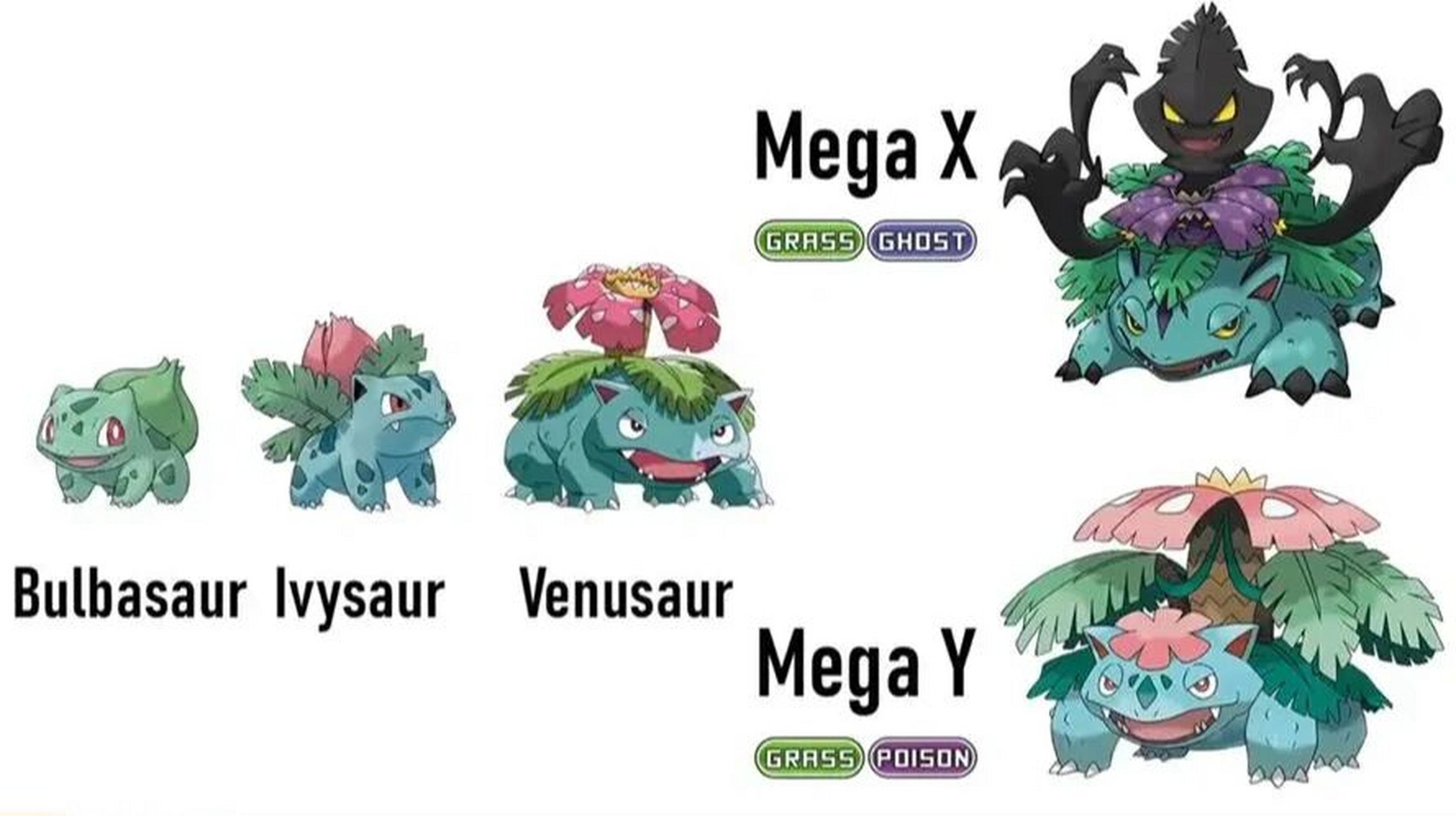 部分宝可梦全部加xy进化介绍 妙蛙花,作为初代御三家之一的最终形态