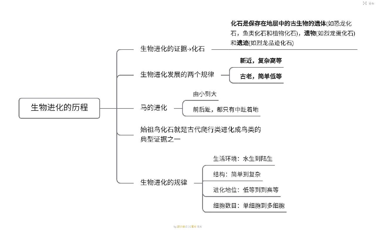 八上生物思维导图全部图片