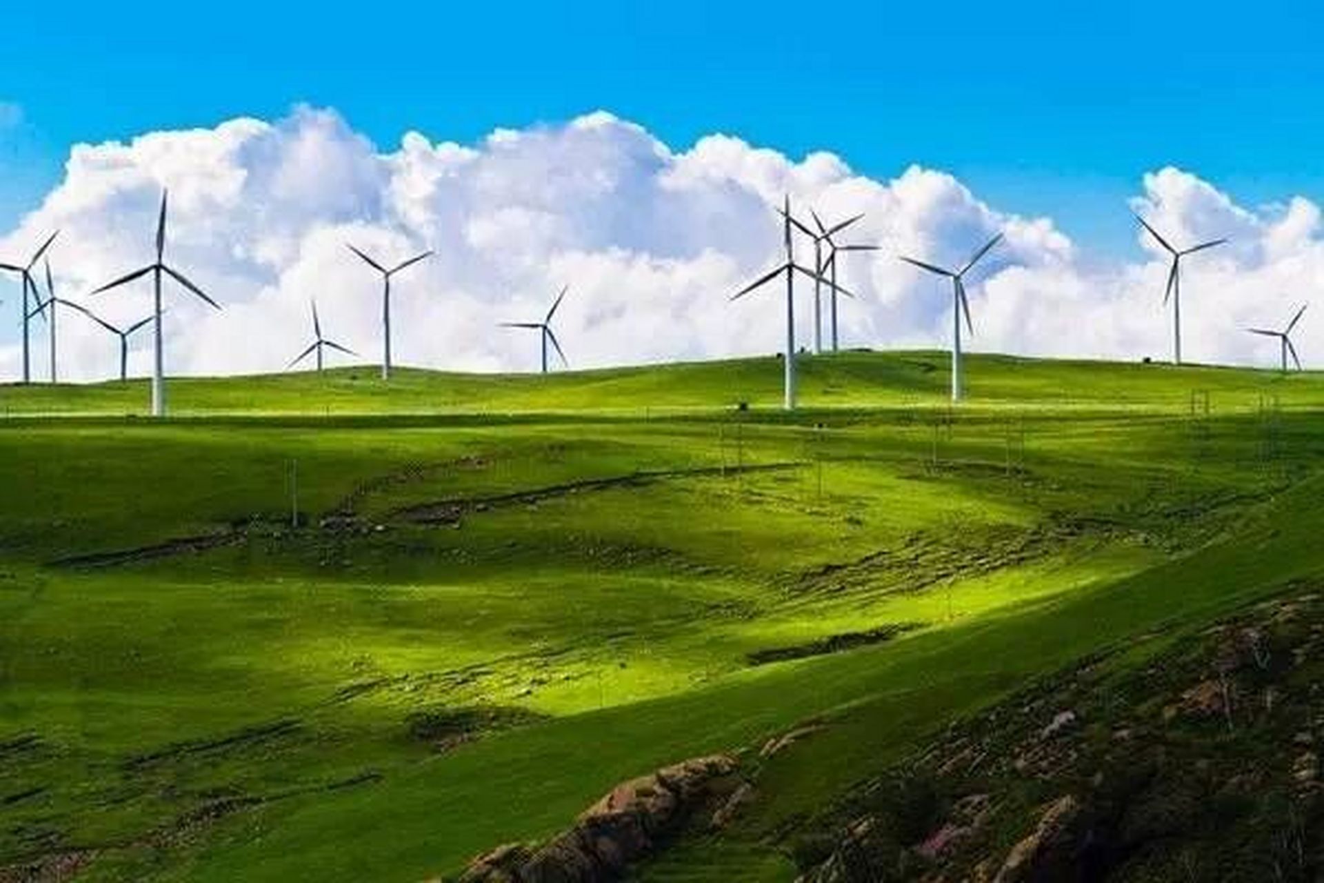 治愈系旅行|内蒙古辉腾锡勒鲜花草原 91国内最美的鲜花草原,不接受