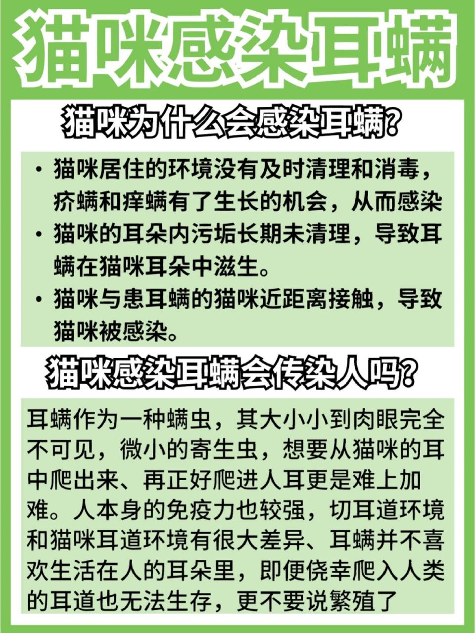 猫咪感染耳螨会传染人吗?