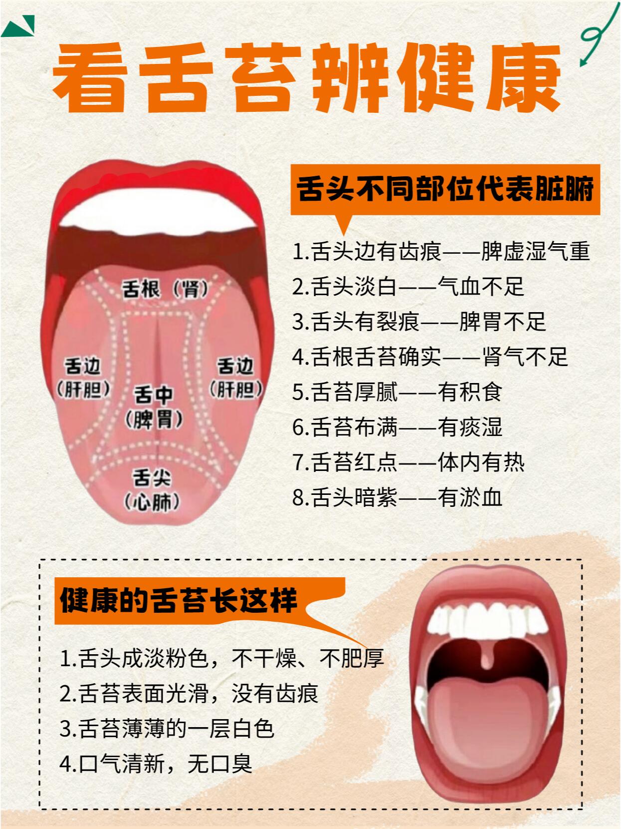 93舌头不同部位代表脏腑