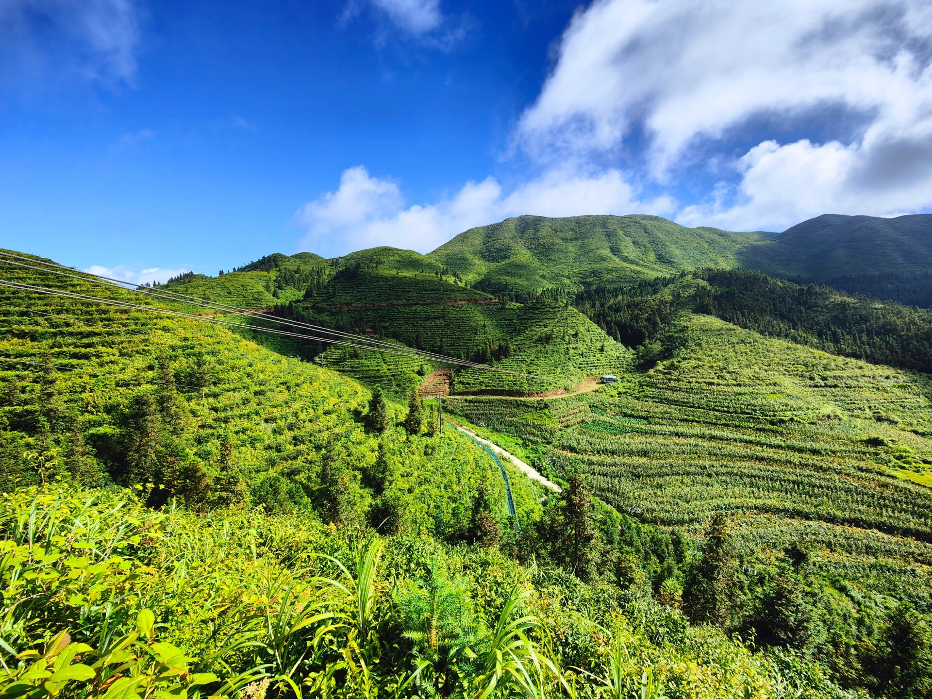 这里离富宁市区要一个小时的车程,中途还要有边检境查车,从鸟王山再