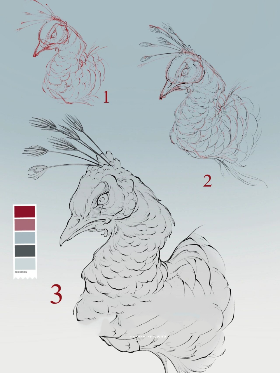 98孔雀头部分步骤画法教程分享98 纹身师日常绘画打卡 孔雀头部的