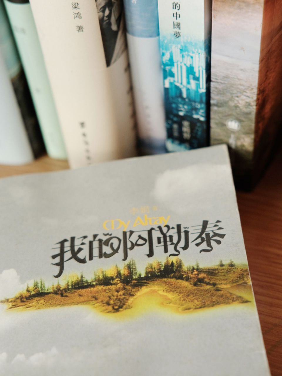 一本笑出鹅叫的书|《我的阿勒泰》 📖《我的阿勒泰》 ✏️(中国