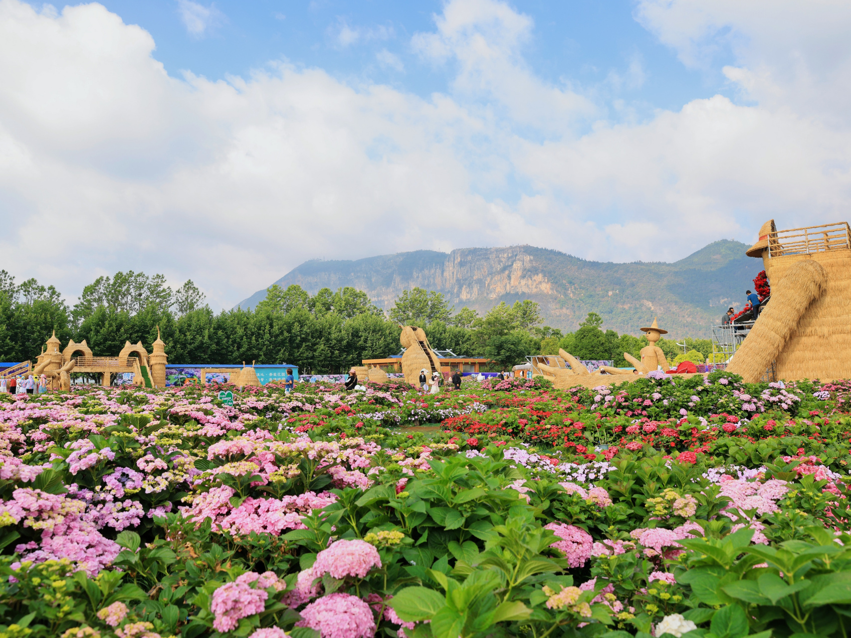 昆明花海景点图片图片