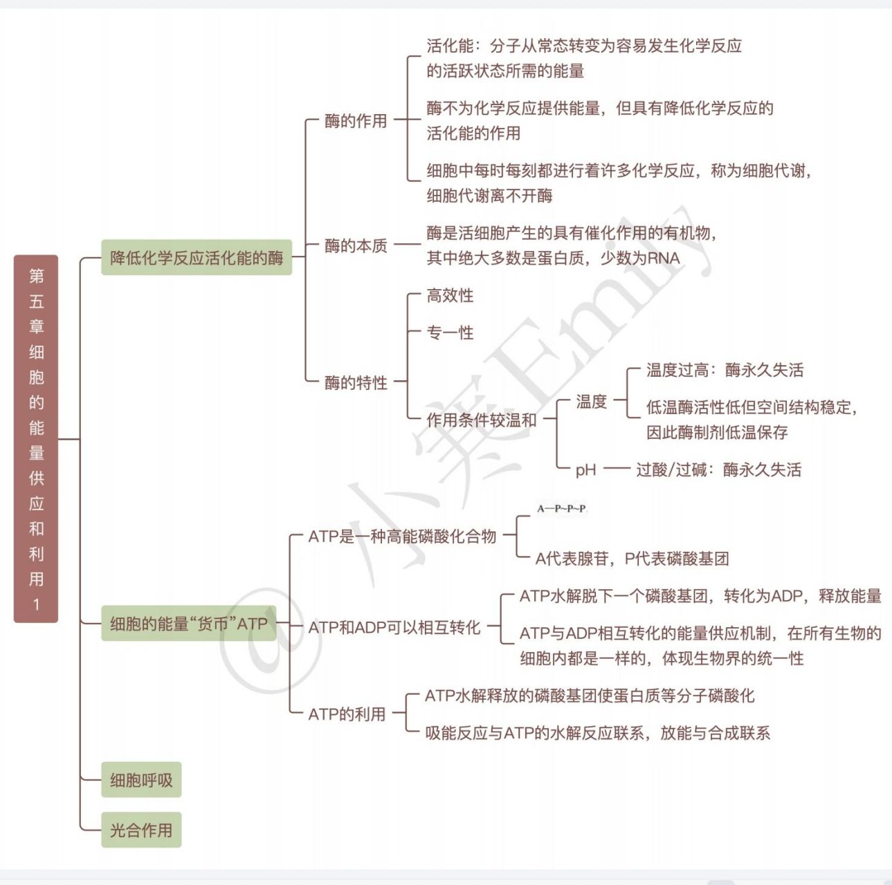 【思维导图】高中生物新教材必修一第五章