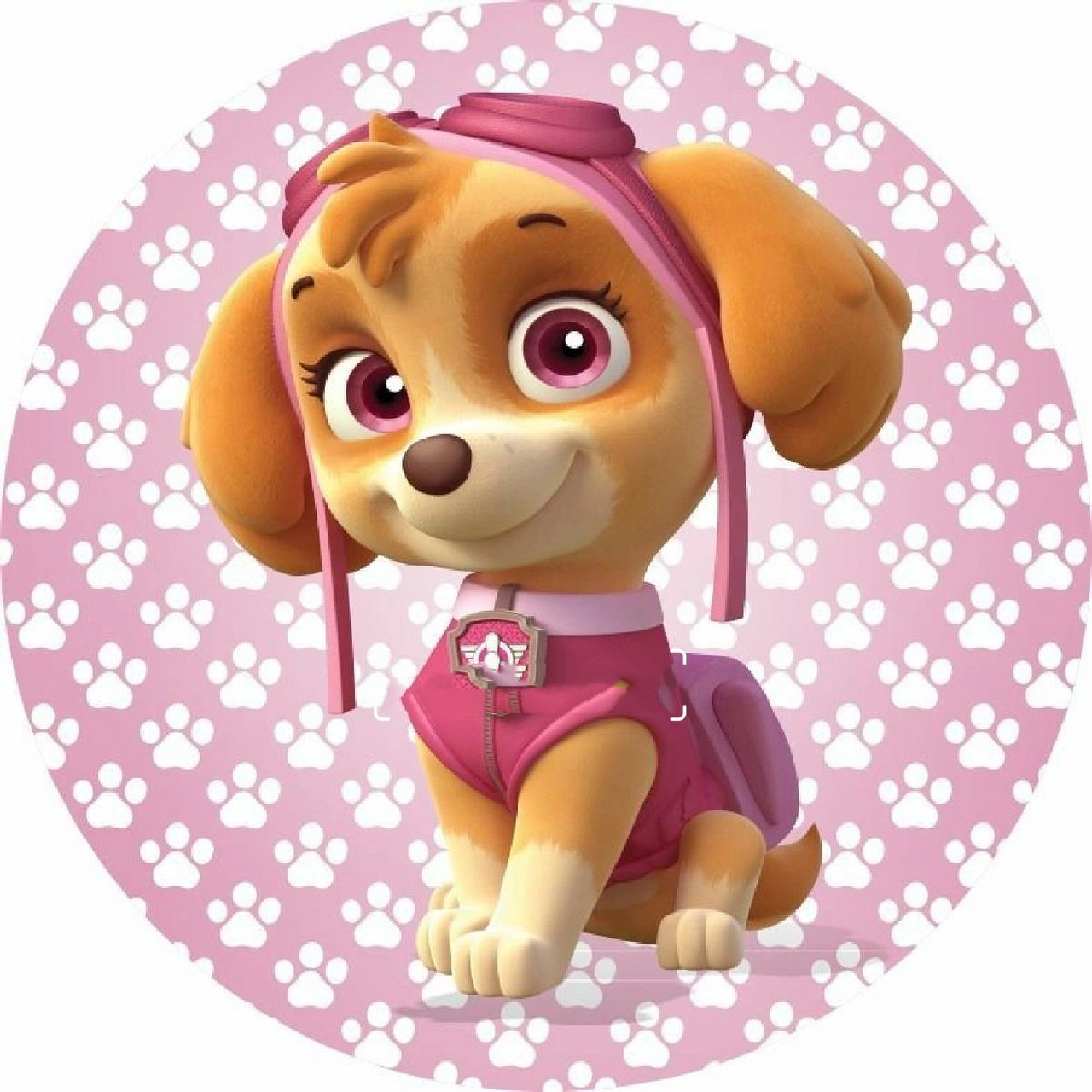 汪汪队立大功头像